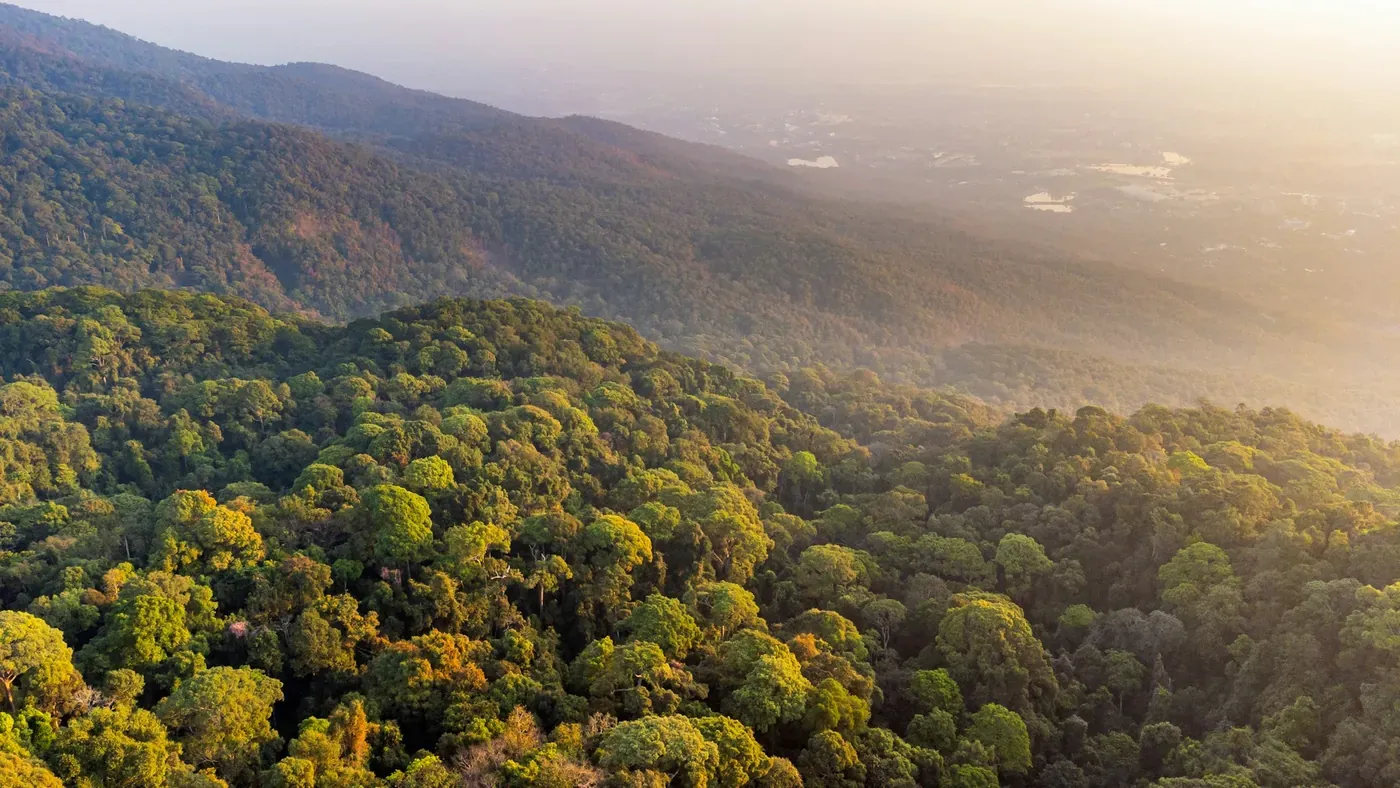 Amazônia. Projeto REDD+ de compensação