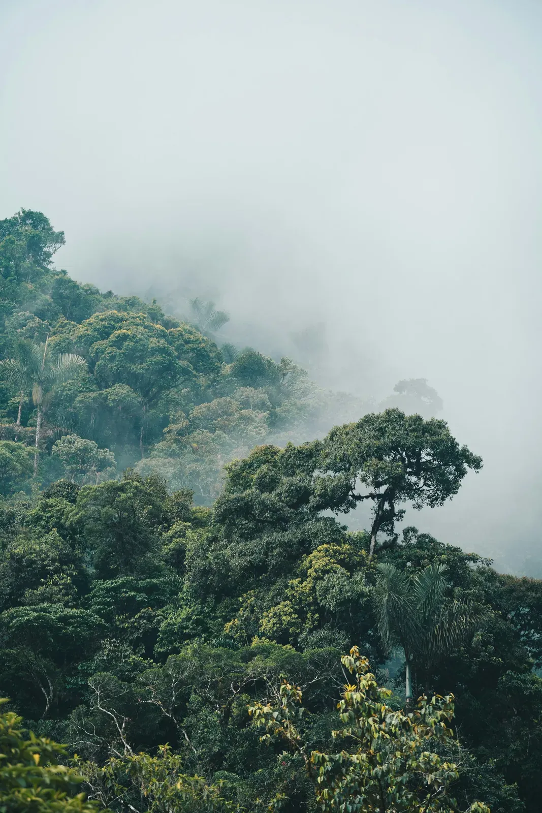 Profissional revisando indicadores de sustentabilidade impressos e em tela, com documentos de origem ao lado