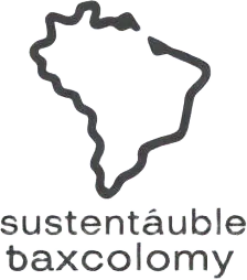 Taxonomia Brasileira